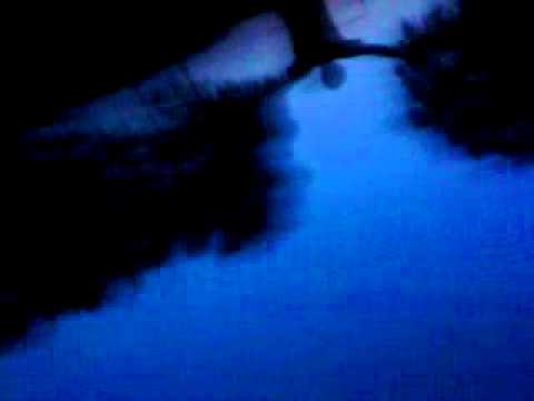 Prvaci..Venera PMP-JUNIORI