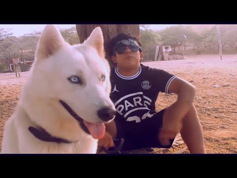 ZETA DISTORSIÓN & LMU BEATZ - ANAKIN (shot x @mortiempo)