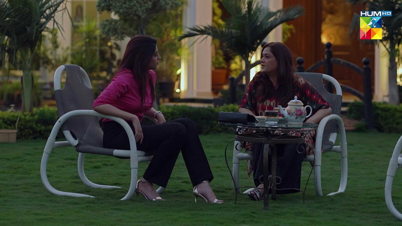Dobara Ameer Hone Aik Mansooba Hai Mere Pas...! - Hadd - #MinsaMalik - HUM TV