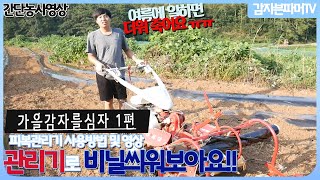 감자피복관리기 사용방법은?? 왜 사용할까?? 가을감자를 심어보자 1탄 먼저 감자 비닐을 씌워봐요~