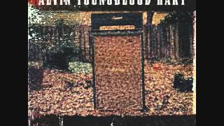 Alvin Youngblood-Hart / Stomp Dance (2005)