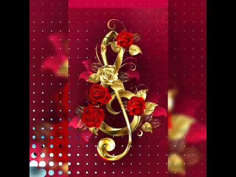 ????Boty z kůže toulavejch psů????#cover#