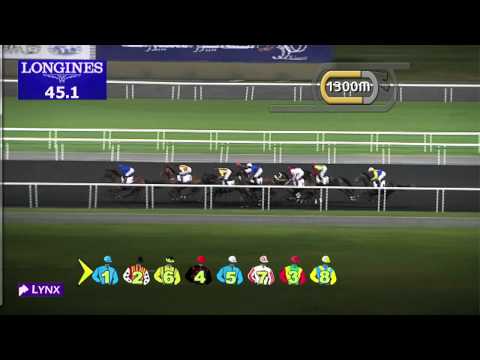 Race 3 - Al Naboodah Travel & Tourism Agencies Trophy