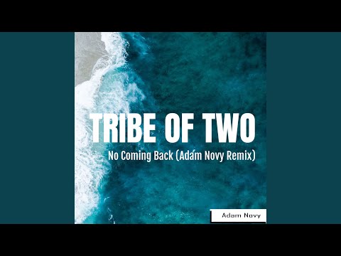 No Coming Back (Adam Novy Remix)