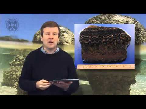 2.2 - Coursera: Evidence of Early Life