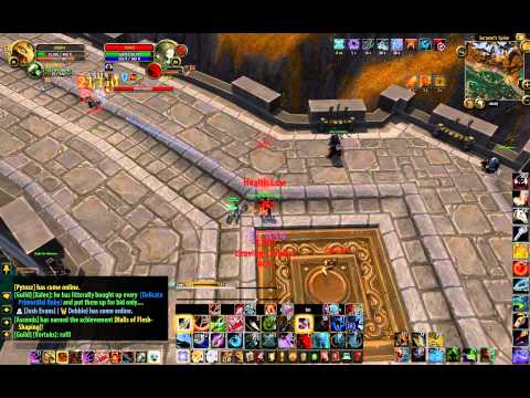 Wow 5.3 BM hunter pvp - World of warcraft lvl 90 hunter pvp