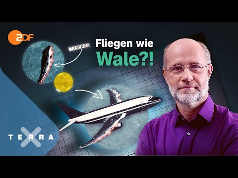 Wie funktioniert Bionik? [Ganze Doku] | Harald Lesch | Leschs Kosmos