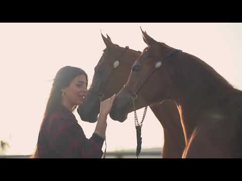 Rola Azar - Bala Daji (Official Music Video) | رلى عازر - بلا ضجة