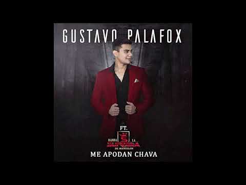 Gustavo Palafox - Me Apodan Chava [Slowed + Reverb]