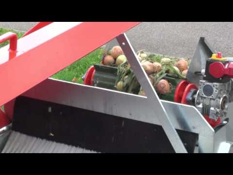 Mix Fördertechnik - Zwiebelentschloter