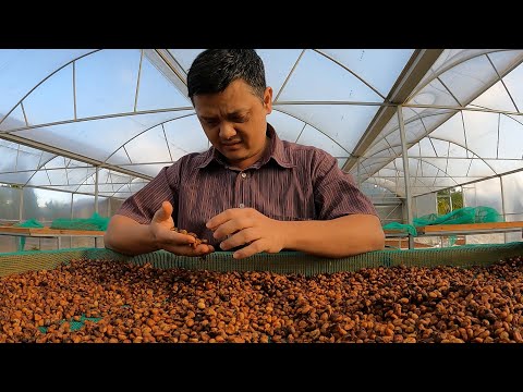 Lý do bạn nên dùng ARABICA CAO CẤP