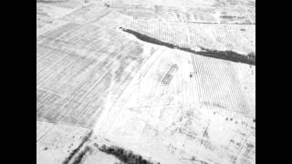 Dominique A - Sous La Neige (reprise pas Les Bras Ballants)