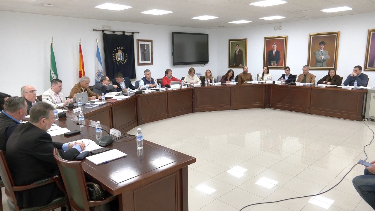 Pleno ordinario