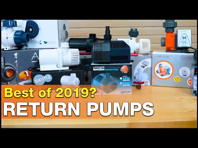 Which submersible return pump gets your vote? Best saltwater aquarium ... - SDDefault