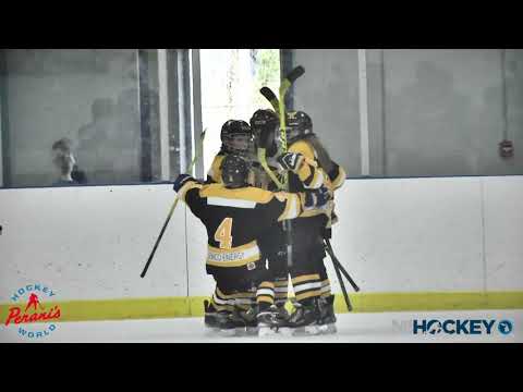 2020 MAHA Squirt AA State Championship - Portage Lake Flyers vs. Rochester Rattlers (Black)