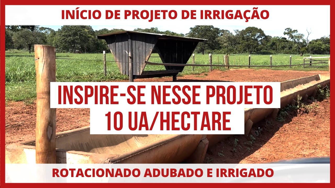 PASTEJO ROTACIONADO ADUBADO e IRRIGADO - Como chegar em 10 ua/hectare