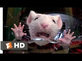 Stuart Little 1999 Stuck In The Washing Machine Scene 2 10 Movieclips
