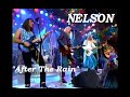 Nelson After The Rain Live Performance
