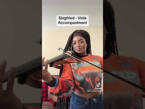 Promotional video thumbnail 3 for Noble Music Group
