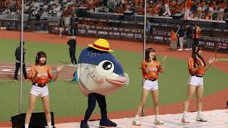 #unigirls 瑟七 柔一 小美 賽前應援教學 統一尚勇  2024.10.22  #統一獅 #台湾チア #fancam #cheerleader #台灣大賽