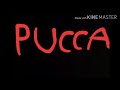 Pucca Song