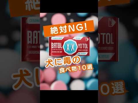 食中毒の犬に何を与えるべきか