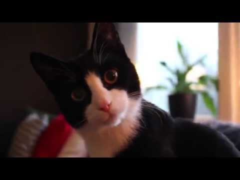 Vårt julpyntade vardagsrum!