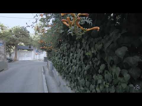 Mehrad Hidden - Fooroodgah FT  Zakhmi & Canis - music video