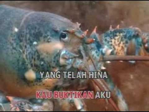 AKU BAGAI TAWANAN#IIS DAHLIA#DANGDUT#STEREO