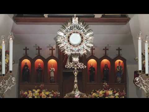 Suficiente para mim  // Instituto Hesed