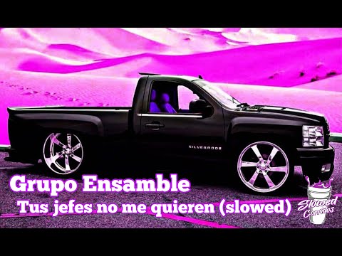 Grupo Ensamble - Tus jefes no me quieren (Slowed) (Rebajada)