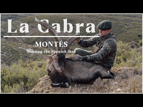La Cabra Montés - Hunting the Spanish Ibex