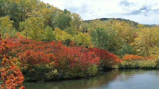 Moby - Saints (Pekka Virtanen Remix)