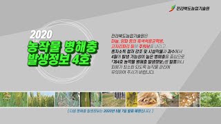 2020년 농작물 병해충 발생정보 4호 발표