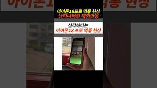 아이폰 최신 감성 근황