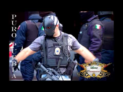 perro que ladra no muerde Estilo 3