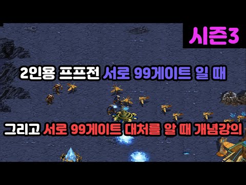 [Protoss Tutorial] 2-Player PvP: Concept Lecture on Handling 99 Gate Rushes