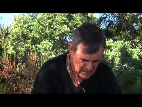 Spain: The Boy from Among Wolves | Weekly Europe