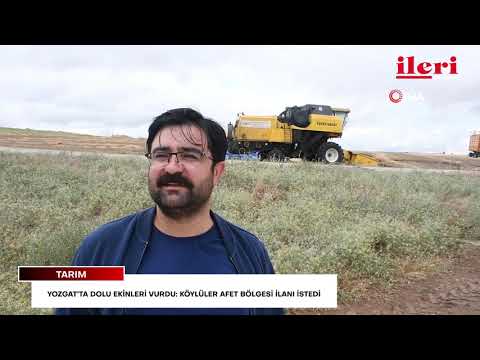 Yozgat’ta dolu ekinleri vurdu: Köylüler afet bölgesi ilanı istedi | İleri Gazetesi
