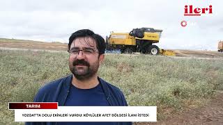 Yozgat’ta dolu ekinleri vurdu: Köylüler afet bölgesi ilanı istedi | İl