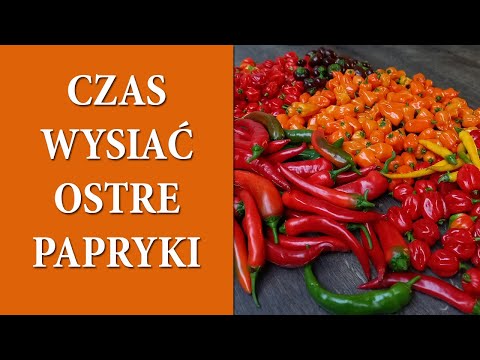 Wysiew uprawa i pielęgnacja OSTRYCH PAPRYCZEK / Czy warto uszczykiwać paprykę / 8 odmian / MrsGarden