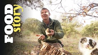 Thumbnail del capítulo