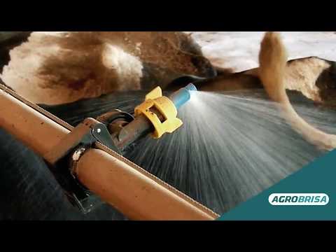 Linha de Aspersão Para Cocho(Canzil) e Sala de Espera - Agrobrisa