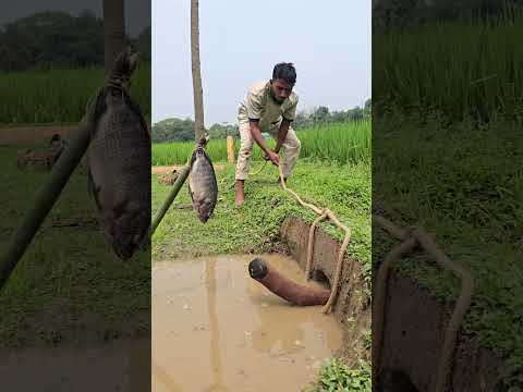 #viralreelschallenge #foryouシ #OMG 😲😲