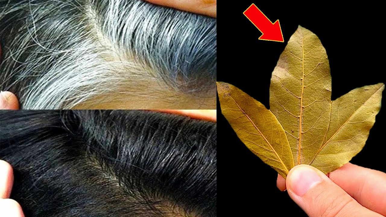 The best recipe to eliminate gray hair (Works fast)