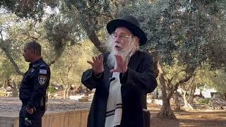 בחירת רוב העם והמלכה בהדרגה | הרב יצחק ברנד (ישיבת הר הבית) - התמונה מוצגת ישירות מתוך אתר האינטרנט יוטיוב. זכויות היוצרים בתמונה שייכות ליוצרה. קישור קרדיט למקור התוכן נמצא בתוך דף הסרטון