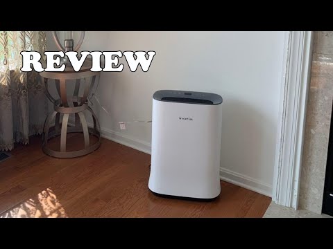 HEPA Composite Active Carbon Filter for Pure Air Essential PT2530F0 PT2530G0 PT2530 Performance Purifier video review thumbnail