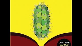 La puntita - babasonicos