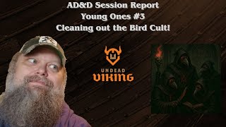 AD&D Session Report - The Young One's #3: Cleaning out the Bird Cult!