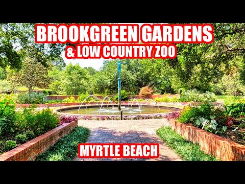 Brookgreen Gardens Full Tour Including Zoo & Butterfly...
